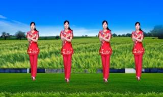 向阳花儿歌原唱 向阳花广场舞