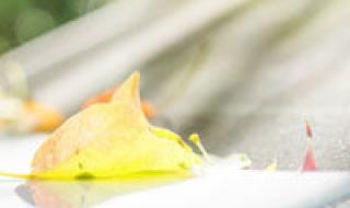 简单好听的qq分组名字有哪些 qq个性分组大全女生